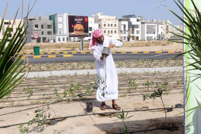 Sidr Nature Reserve founder Obaid Al Shemmari said the initiative aims to turn Mesayel into a model area