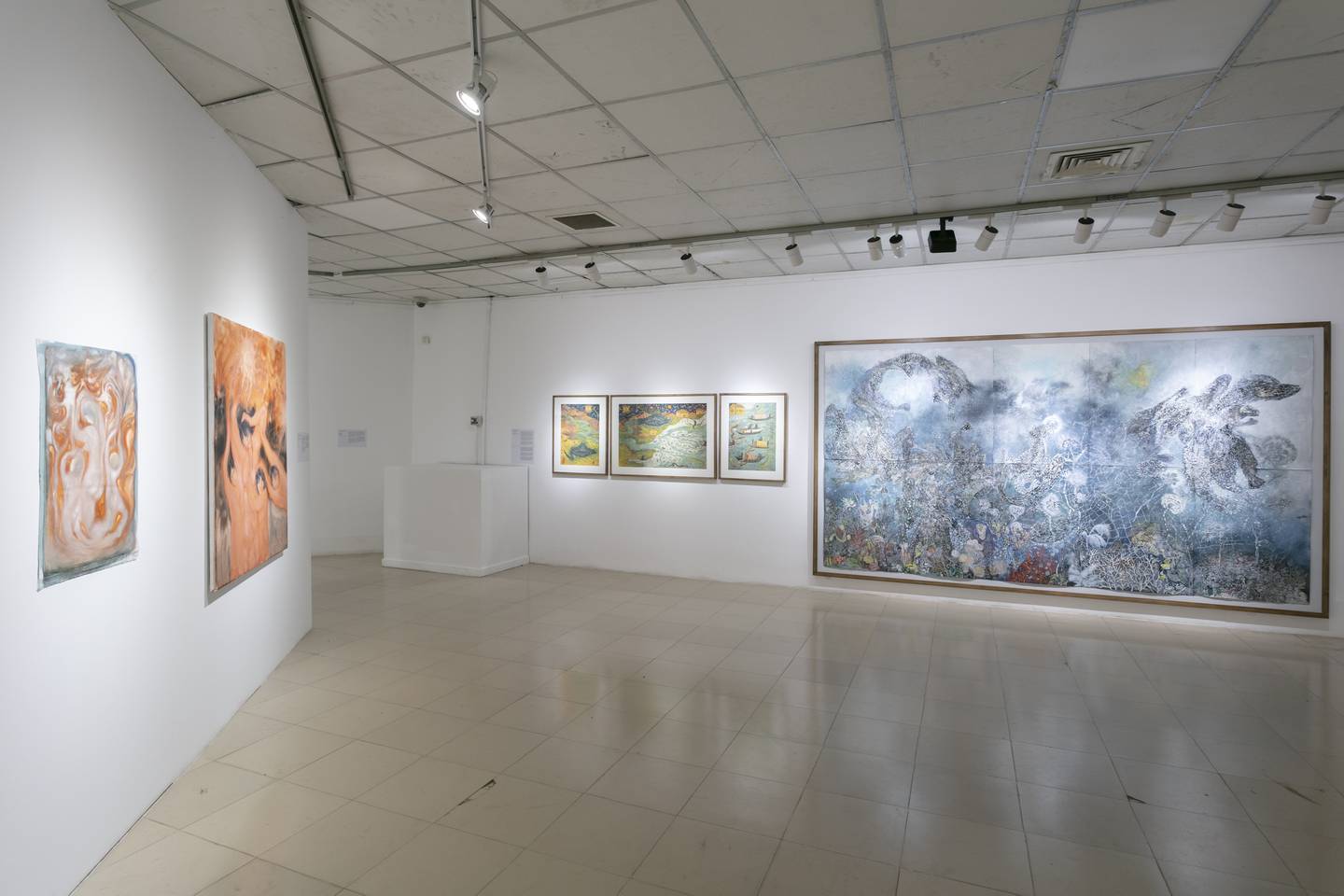 Marzia Migliora's Paradoxes of Plenty. Photo: Dhaka Art Summit 2023