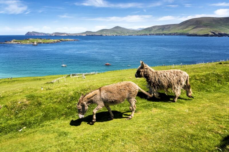 Local residents on the Great Blasket Island, one of Europe's most westerly points.