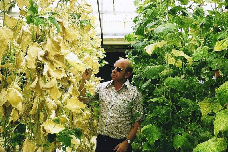 Dr Merle Jensen in the greenhouses on Saadiyat. Courtesy Merle Jensen/University of Arizona