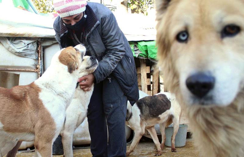 Annie Orfalian, 45, plays with dogs at her dog shelter in Damascus, Syria. Reuters