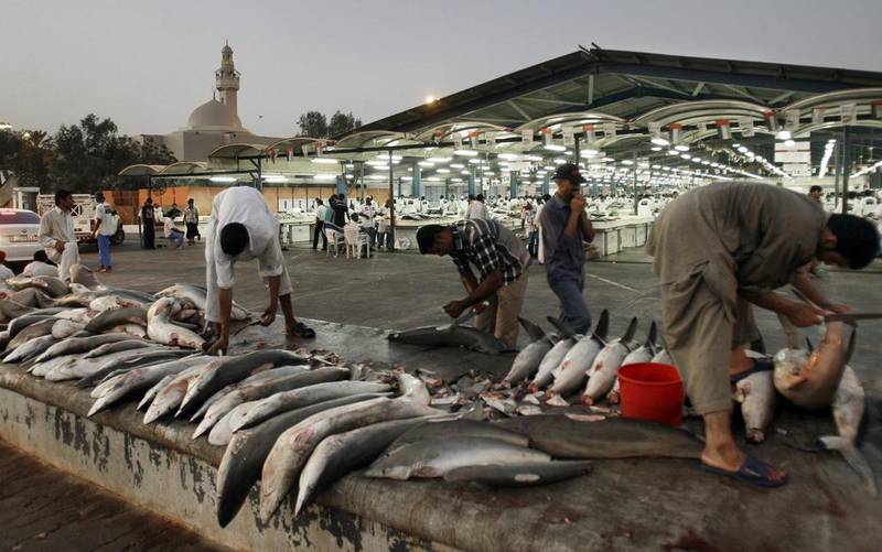 Shark fins are cut off in Dubai. From September certain species of sharks are to be released back into the water if caught. Kamran Jebreili / AP Photo