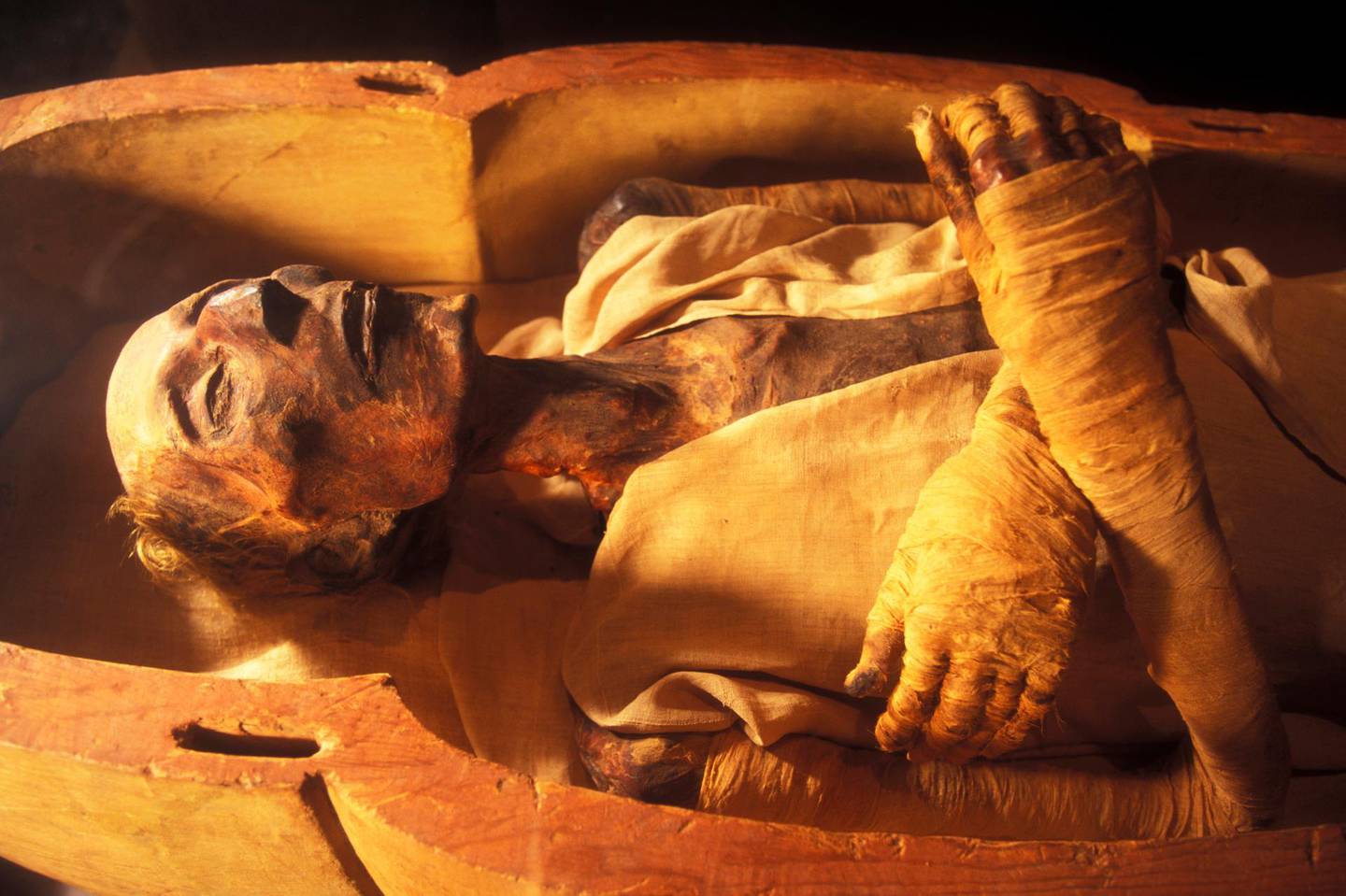 CAIRO, EGYPT - APRIL 2006:  The mummy of Ramses II (1301-1235 BC), son of Sethy I, in April 2006, at Cairo Museum, Egypt. The mummy was discovered with the other royal mummies in the Deir el Bahari hiding place by Maspero, Ahmed Bey Kamal and Brugsch Bey. (Photo by Patrick Landmann/Getty Images)
