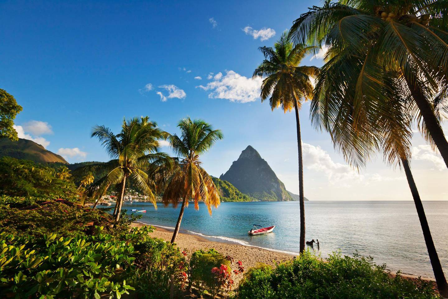 A view from Saint Lucia. If people are given the choice of working from anywhere, housing bubbles may begin to pop up in the most unexpected corners of the world. Courtesy St Lucia Tourism Authority