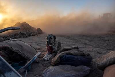 A dog waits for its owners near a house that was destroyed by an earthquake. All those in the home in the Zenda Jan district in Herat province died. AP