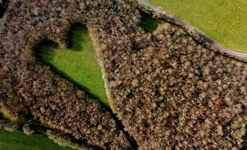 A heart-shaped clearing can be seen in woodland where widower Winston Howes planted 6,000 oak trees in a 2.4-hectare field on his farm, leaving the clearing in the middle as a tribute to his wife Janet, to whom he was married for 33 years, in Wickwar, Gloucestershire, Britain. Reuters