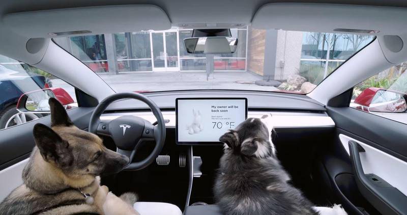 Tesla has introduced new software designed to keep dogs cool in hot cars. Tesla / YouTube 