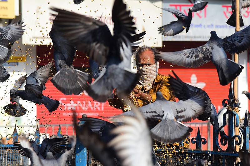 A man wearing a facemask feeds pigeons during a government-imposed nationwide lockdown. AFP
