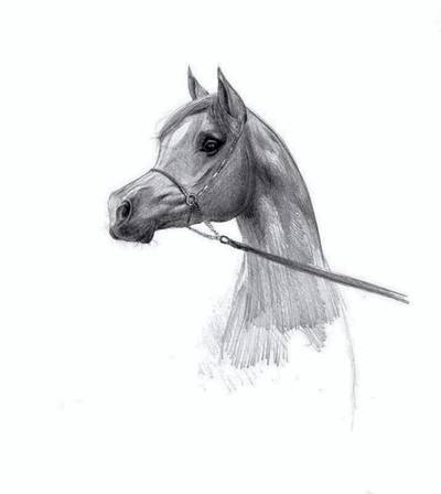 An artwork by an Emirati artist featured in For the Love of Horses, a new book featuring a collection of 18 poems by Sheikh Mohammed bin Rashid Al Maktoum. Dubai Media Office