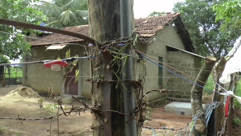 Illegally erected electric fence and traps set up to prevent wild elephants from entering human settlements are seen in Ashraf Nagar in Ampara district. AP