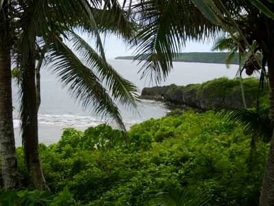 Niue's emissions are negligible, at less than 0.0001 per cent. Photo: Flickr