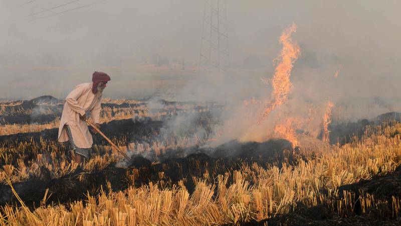 A farmer burns straw stubble after harvesting a paddy crop in a field near the India-Pakistan border. AFP