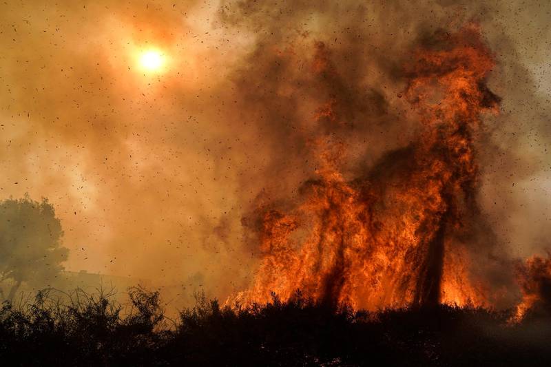 The Silverado Fire burns along the 241 State Highway in Irvine, California. AP