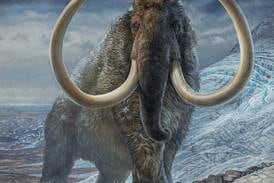 How cloning woolly mammoths could save the world 