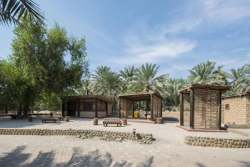 Al Ain Oasis, which was launched last week as a Unesco World Heritage Site. Courtesy Abu Dhabi Tourism and Culture Authority