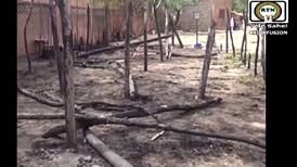 Niger school fire kills 20 children