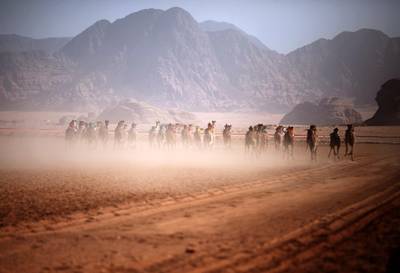 Jordanians race their camels in front of  Emirati Sheikh Sultan Bin Hamdan Bin Zayed Al Nahyan, President of the Arab Camel Racing Federation and with the presence of Prince Asem Bin Nayef, Vice President of the Jordan Royal Equestrian Federation, during the annual camel race in its second and final day on Friday November 3, 2017 that takes place at the Sheikh Zayed al Nahyan track in Wadi Rum, Jordan. (Salah Malkawi for The National)