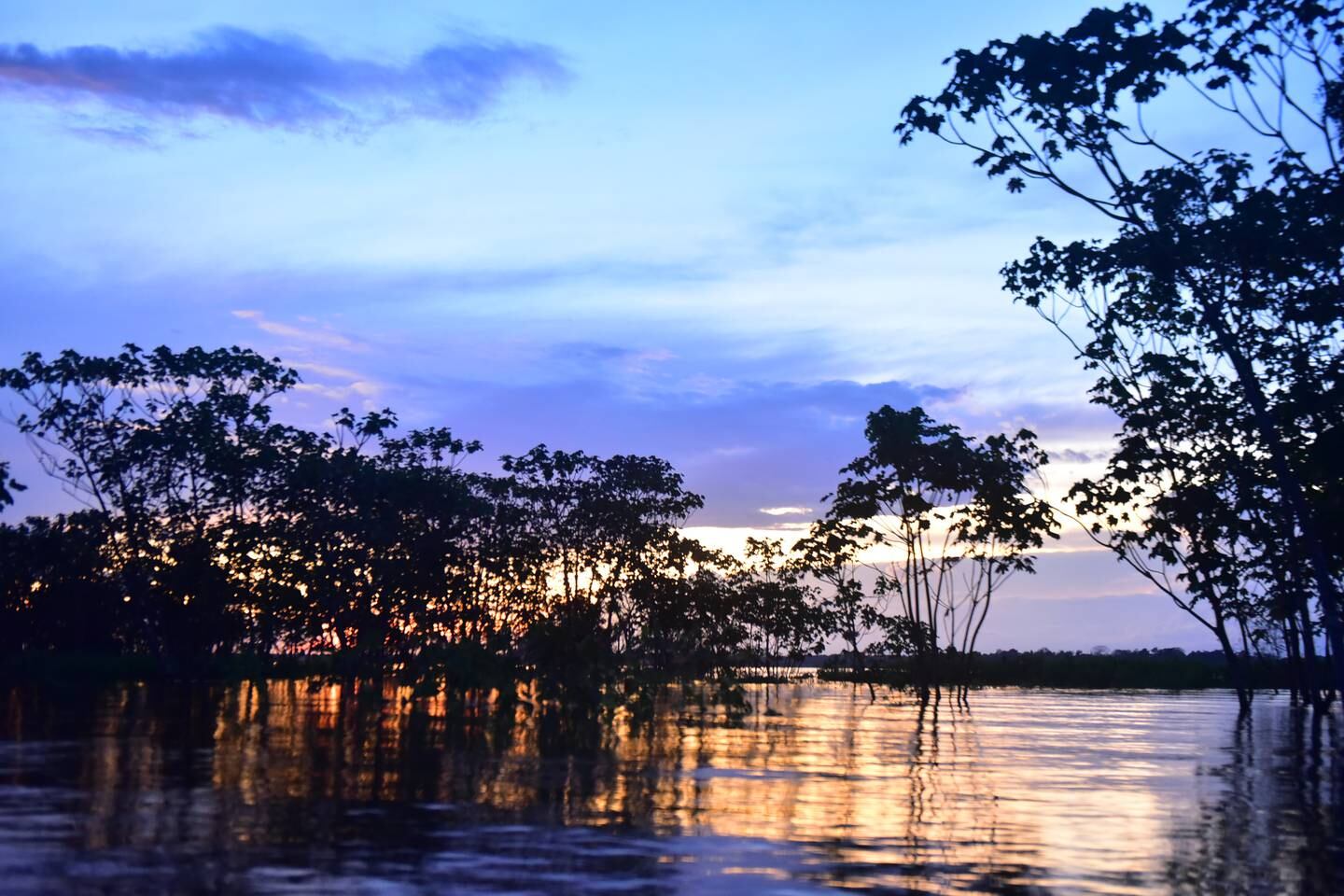 The Rio Negro at sunset. Photo: Marcio Benchimol