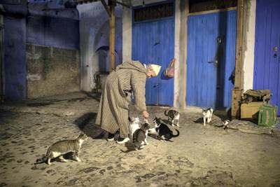 A shop owners feeds street cats, a hallmark of the town, in an alleyway deserted of tourists in Chefchaouen, northern Morocco, Saturday, Dec. 26, 2020. (AP Photo/Mosa'ab Elshamy)