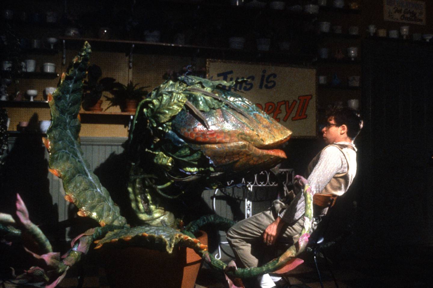 Broadway play and film 'Little Shop of Horrors' is being remade with Scarlett Johansson and Chris Evans. Photo: Warner Bros