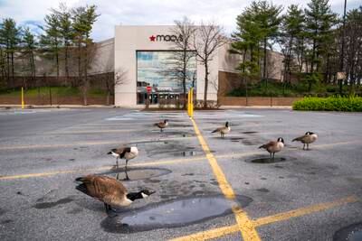 Parking spaces aplenty outside the abandoned Lakeforest Mall in Gaithersburg, Maryland
