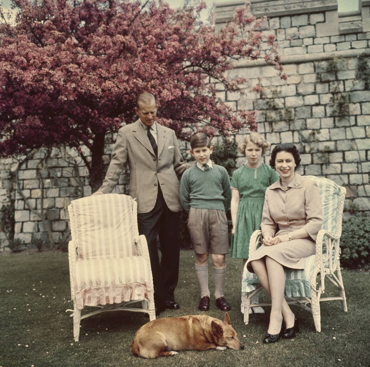 Prince Philip with Prince Charles, Princess Anne and Queen Elizabeth II with corgi Sugar asleep at her feet, in the gardens of Windsor Castle, in June 1959. Getty Images
