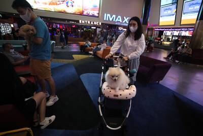 Major Cineplex Group, Thailand's leading movie theatre chain, has opened the country's first pet-friendly cinema. EPA