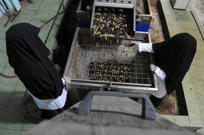 Veil-clad female workers process olives at a factory for pickling olives in the Saudi city of Tabuk October 23, 2013. REUTERS/Mohamed Al Hwaity (SAUDI ARABIA - Tags: AGRICULTURE SOCIETY FOOD BUSINESS)