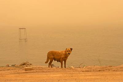 The sandstorm turns the sky a deep yellow.