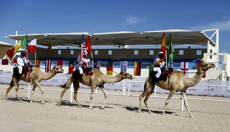 The committee president said owners sometimes used fillers, Botox or silicon to increase their camel’s chances of winning — foul play that results in disqualification