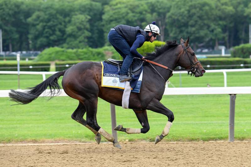 Mandatory Credit: Photo by Mathea Kelley/Racing Fotos/REX/Shutterstock (9705690g)Gronkowski out on the track in preparation for the Belmont Stakes. 06/07/2018, Belmont Race Track, Elmont, NY, USAHorse Racing - 07 Jun 2018