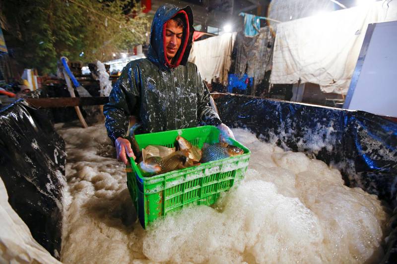 A fisherman carries a box of fish as he prepares to sell his catch in Najaf. Reuters