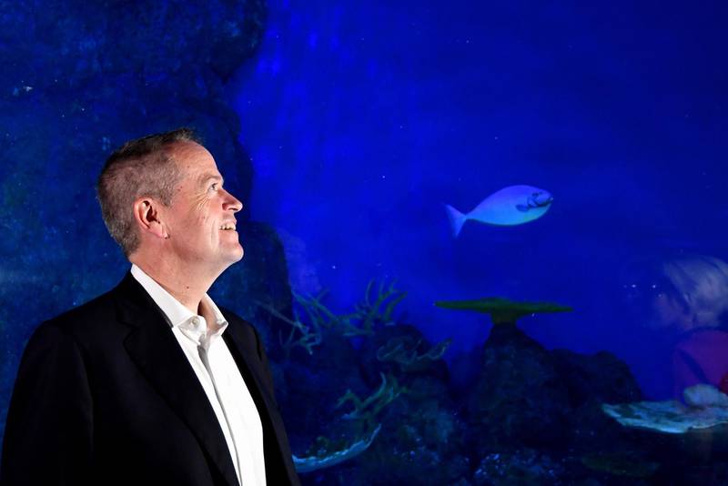 Australian Opposition Leader Bill Shorten looks at fish during press event and tour of Cairns Aquarium in Cairns. EPA