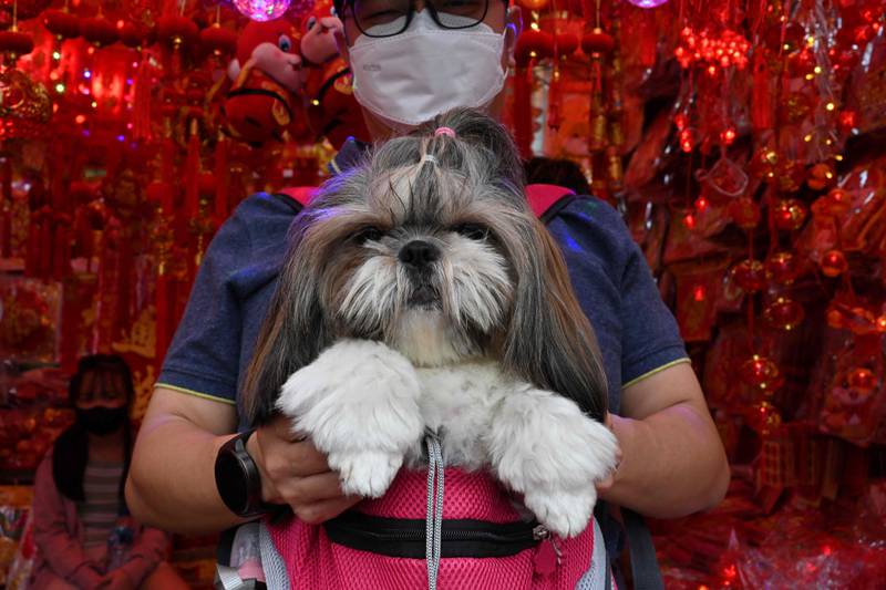 A man carries his dog as people shop for Chinese ornaments and food in Jakarta, Indonesia, before the Chinese Lunar New Year on January 22. AFP