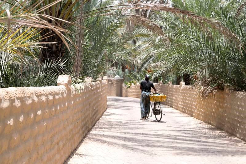 Al Ain Oasis, a Unesco World Heritage site since 2011, is open to the public who can learn about the area’s history of farming and its irrigation system. All photos: Khushnum Bhandari / The National