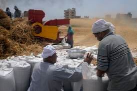 Egypt exempted from India’s wheat export ban, minister says