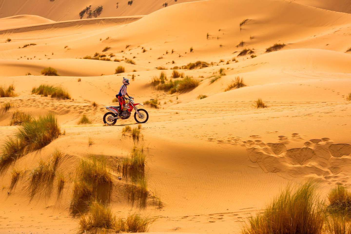 Motorbiking in the Sahara Desert. Extraordinary Adventure Club