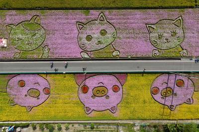 An aerial view shows visitors walking past flowers pattern during a flower festival in Taoyuan. AFP