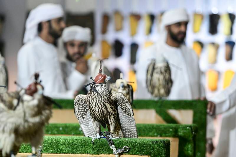 Falcons on show at the Abu Dhabi National Exhibition Centre. 