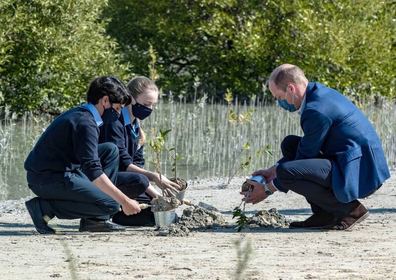 Prince William plants mangrove seedlings with pupils.
Victor Besa / The National