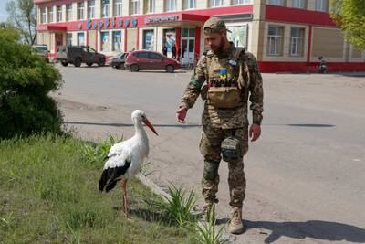 A Ukrainian soldier takes a break from the conflict and tries to pet a stork in Barvinkove, Kharkiv region. Reuters