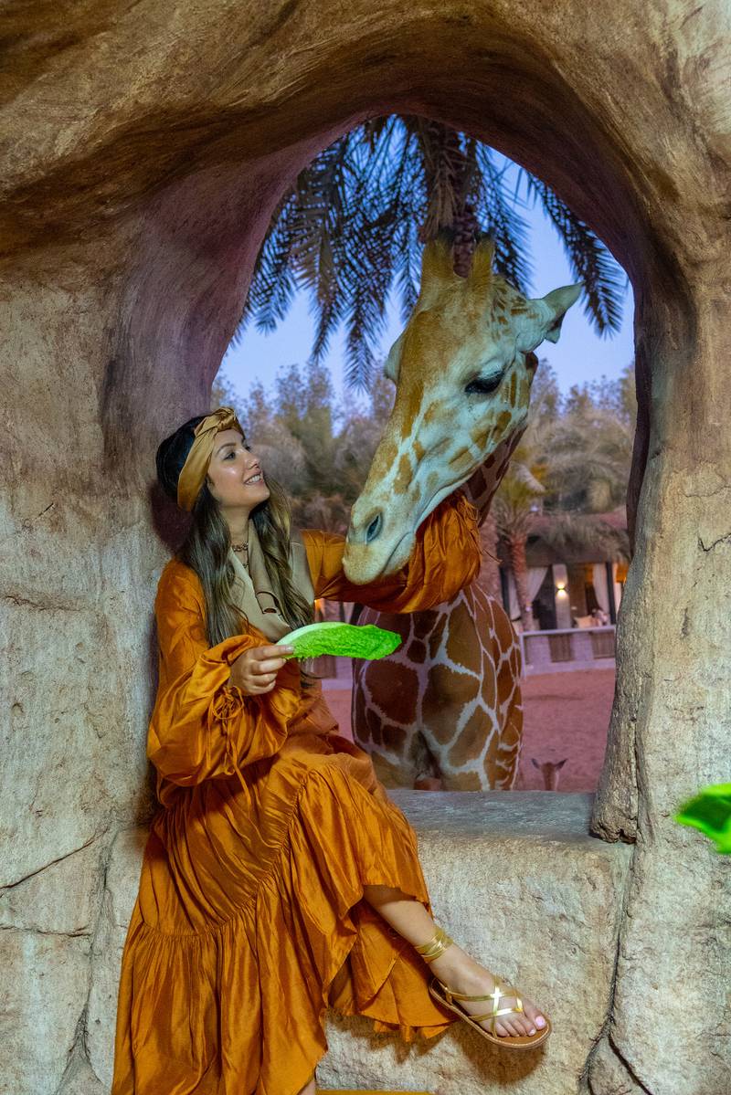 Emirates Park Zoo offers iftar with the giraffes.
