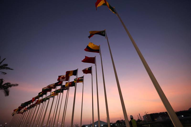 The national flags of countries participating in Expo 2020 Dubai. AFP