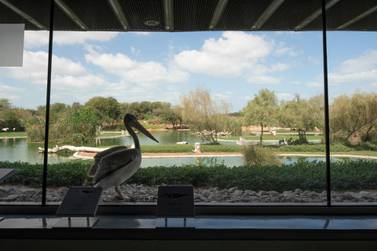 The Wasit Wetland Centre in Sharjah. Aga Khan Trust for Culture / Cem