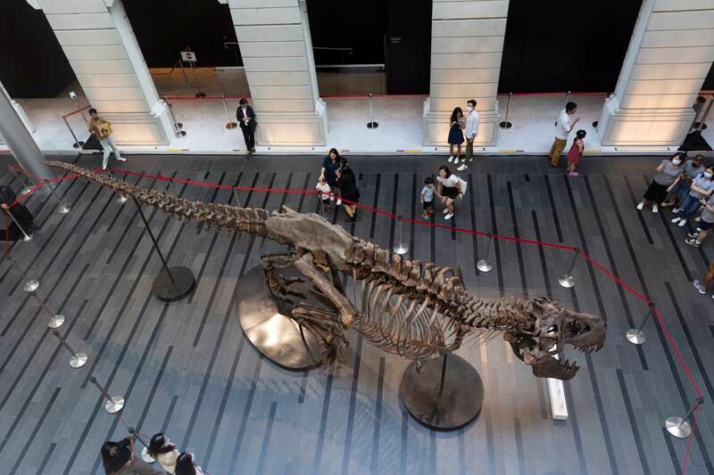 The dinosaur fossil was due to be exhibited at the Victoria Theatre and Concert Hall until October 30 before being auctioned.