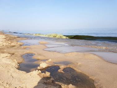 Oil washes ashore at the Miramar hotel from an oil spill out at sea in Al Aqah, Fujairah. Juman Jarallah / The National