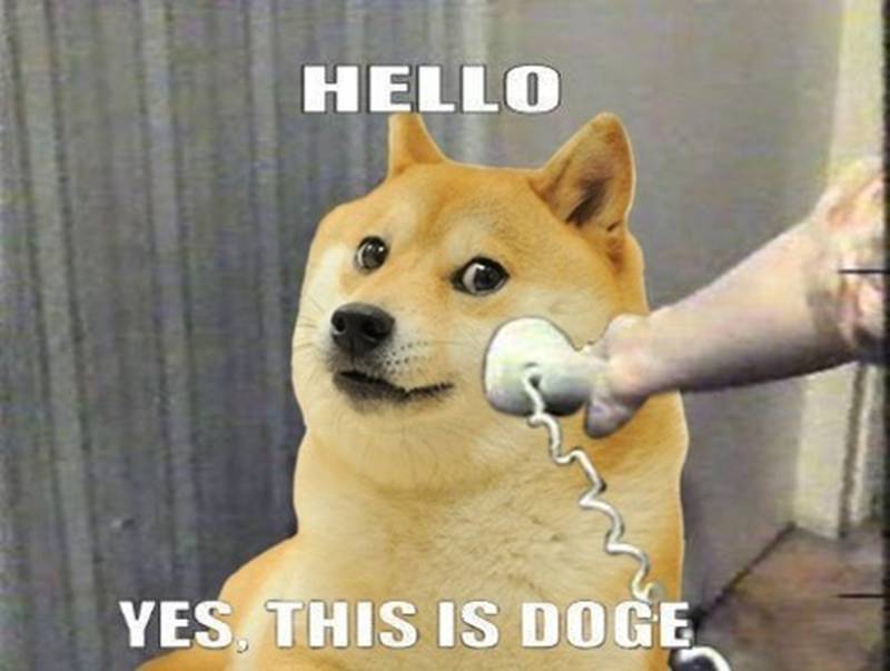 The Doge meme, one of the most popular on the internet, sold for $4 million as an NFT. Photo: Know Your Meme