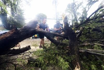 Government workers clear a fallen tree in Iloilo city. EPA