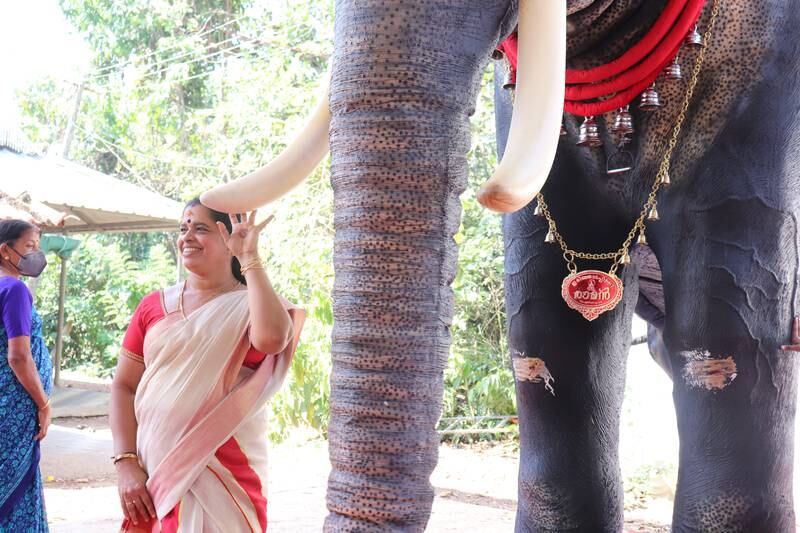 Animal rights activists have long demanded an end to the tradition of keeping captive elephants at temples, which they say is cruel