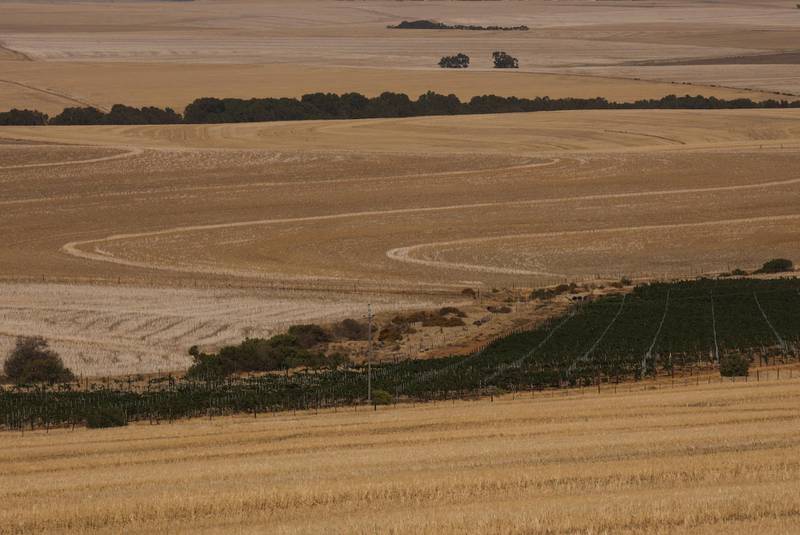 Fields of harvested wheat are seen near Cape Town, South Africa, February 3, 2018.  Picture taken February 3, 2018. REUTERS/Mike Hutchings
